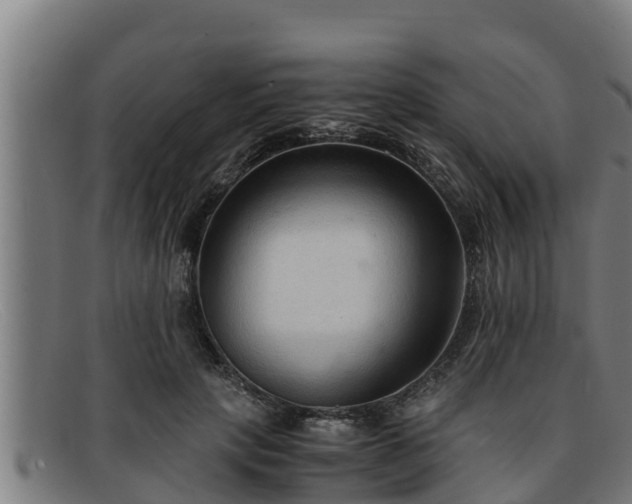 X0000091860649200709121331