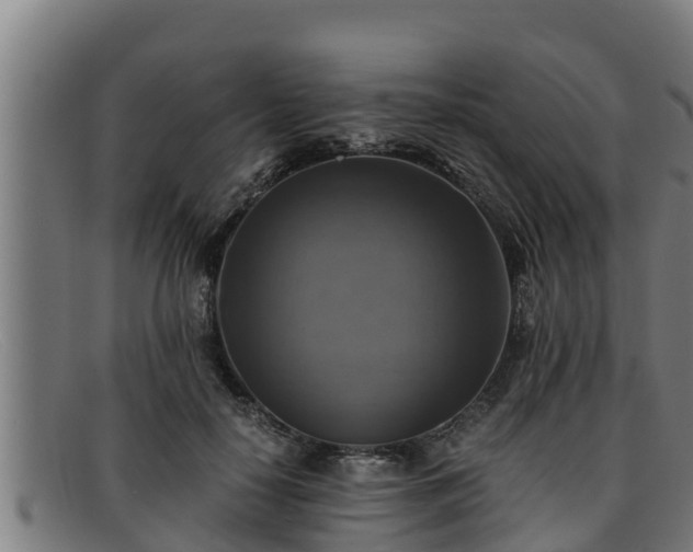 X0000091860650200709121331