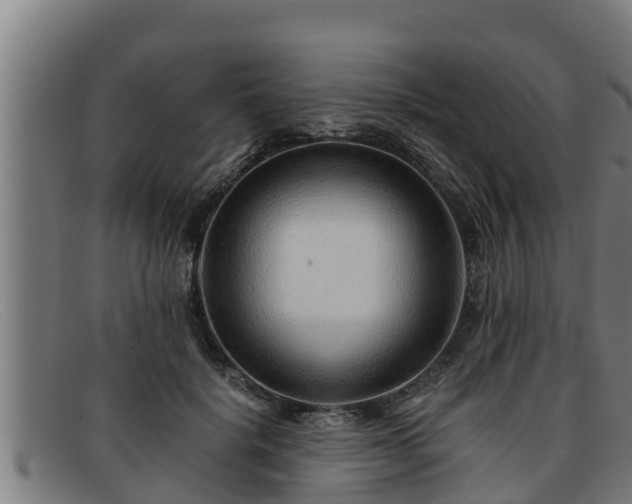 X0000091860652200709121331