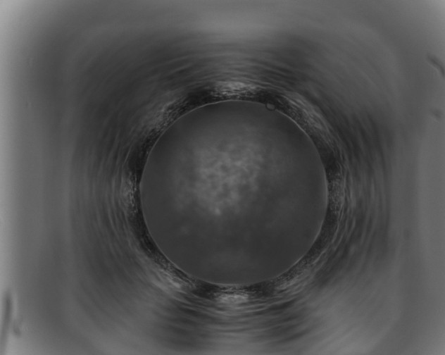 X0000091860653200709121331