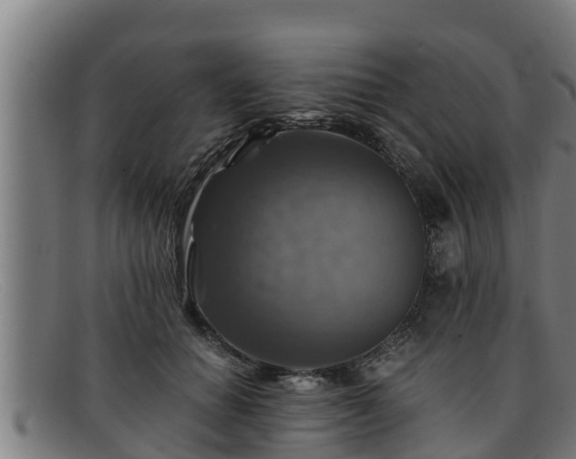 X0000091860654200709121331