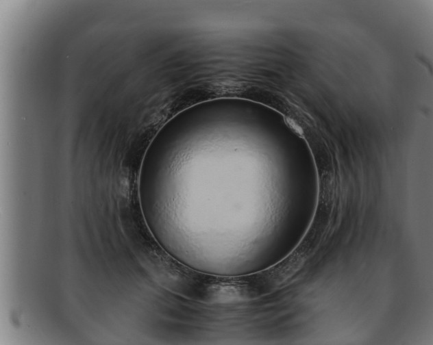 X0000091860655200709121331