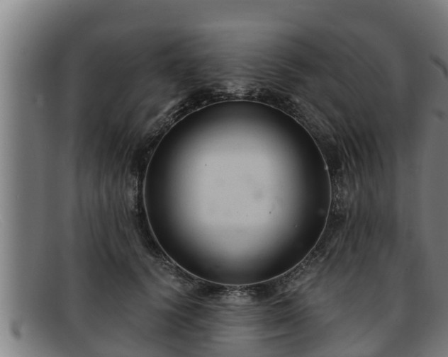 X0000091860656200709121331