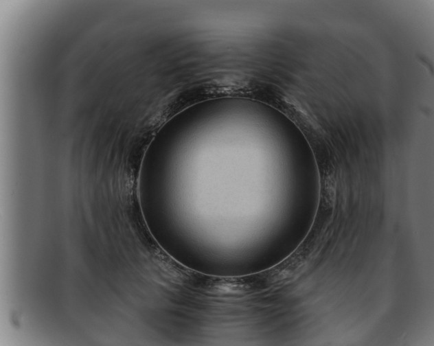 X0000091860657200709121331