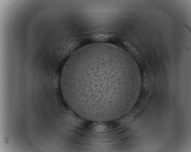 X0000091860658200709121331