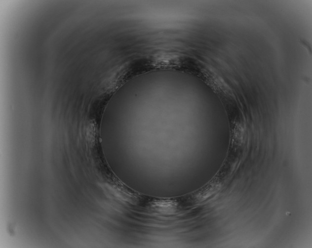 X0000091860659200709121331