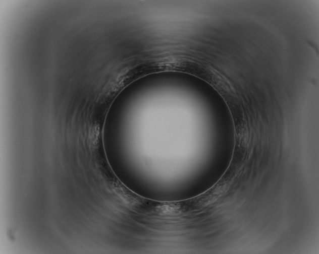 X0000091860660200709121331