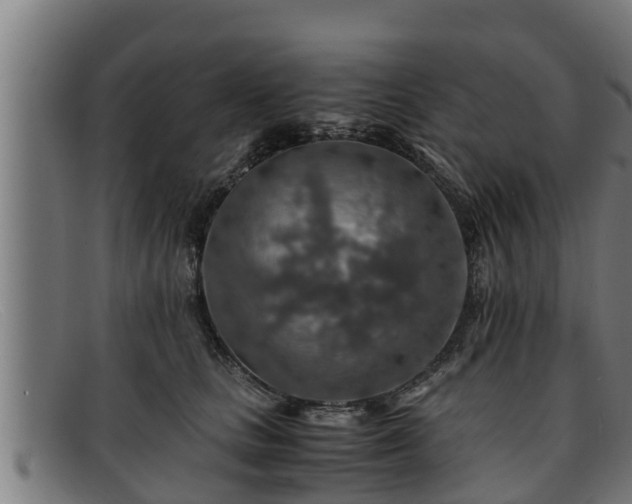 X0000091860661200709121331