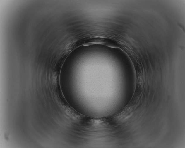 X0000091860662200709121331