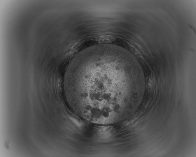 X0000091860663200709121331