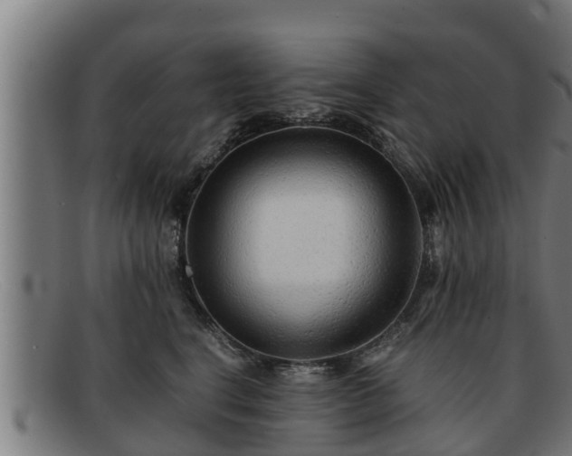 X0000091860664200709121331