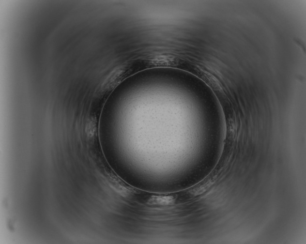 X0000091860665200709121331