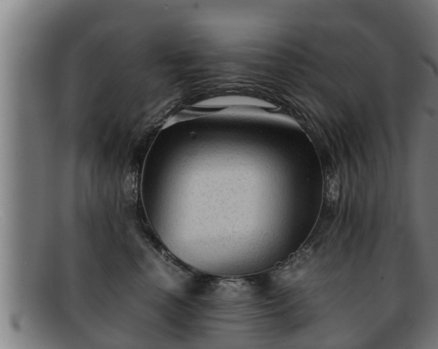 X0000091860666200709121331