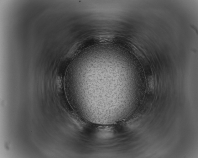 X0000091860667200709121331