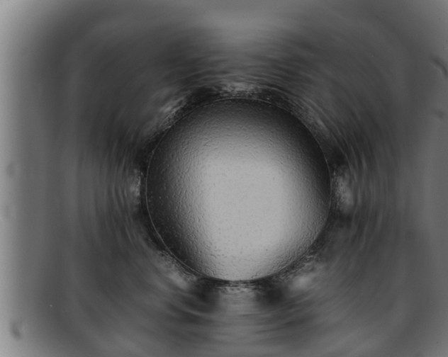 X0000091860668200709121331