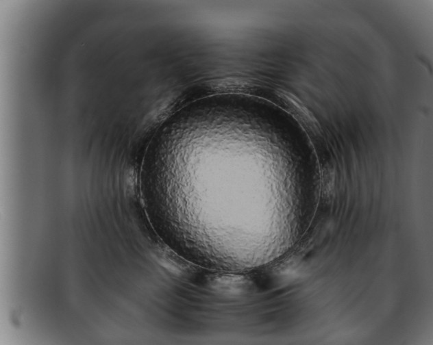 X0000091860669200709121331