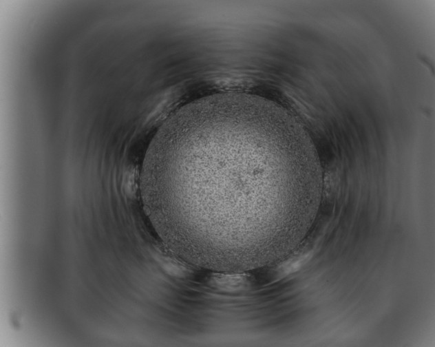 X0000091860671200709121331