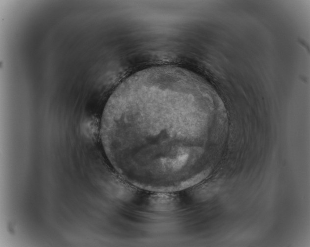 X0000091860672200709121331