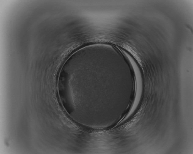 X0000091860673200709121330