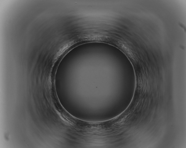 X0000091860674200709121330