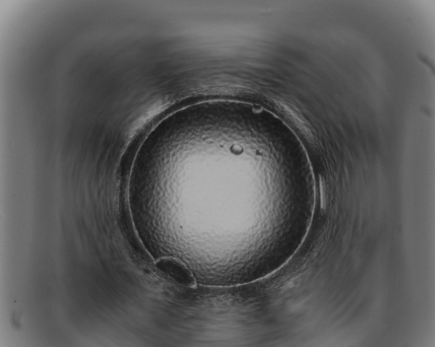 X0000091860675200709121330