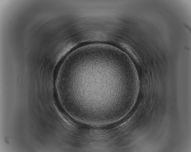 X0000091860677200709121330