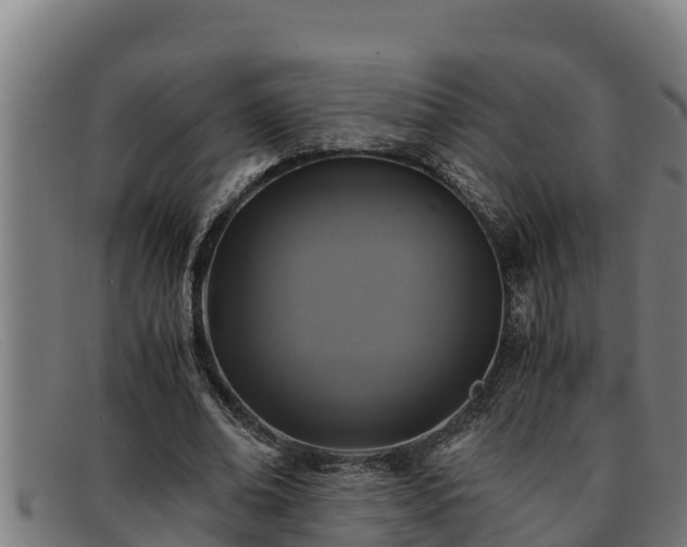 X0000091860678200709121330