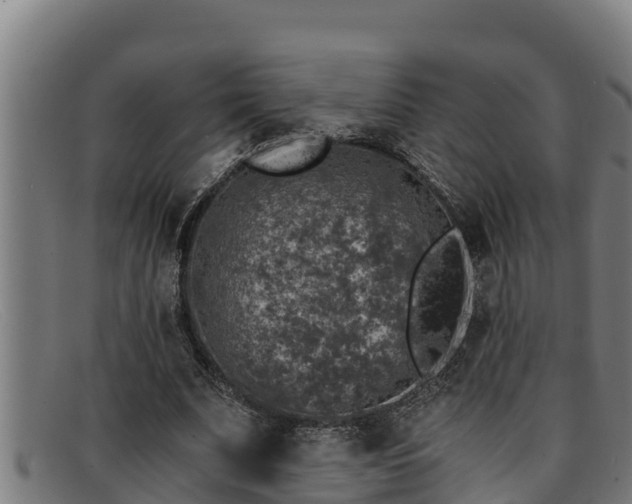 X0000091860679200709121330