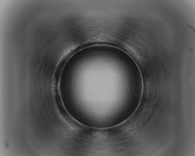 X0000091860680200709121330