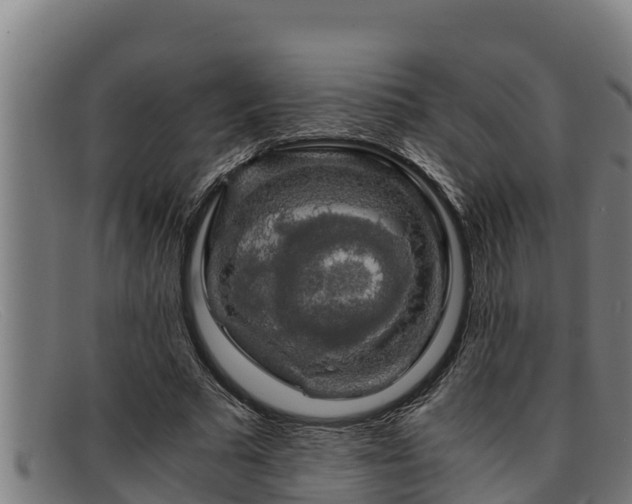 X0000091860681200709121330