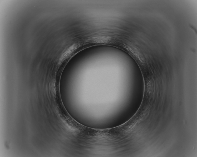 X0000091860682200709121330