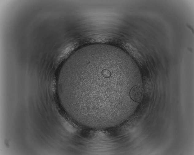 X0000091860683200709121330