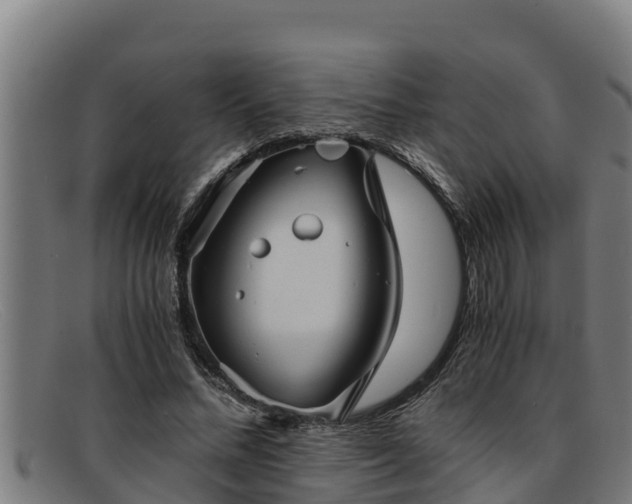 X0000091860684200709121330