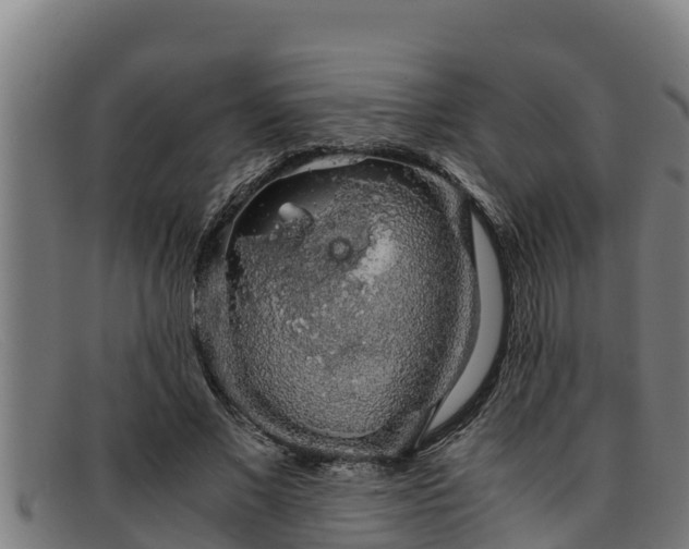 X0000091860685200709121330