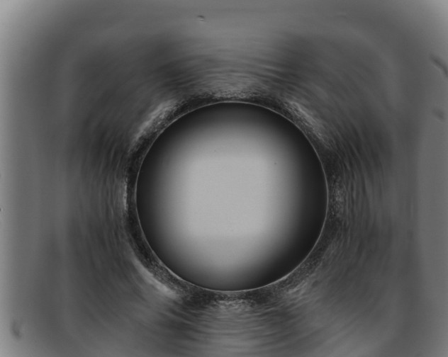 X0000091860686200709121330