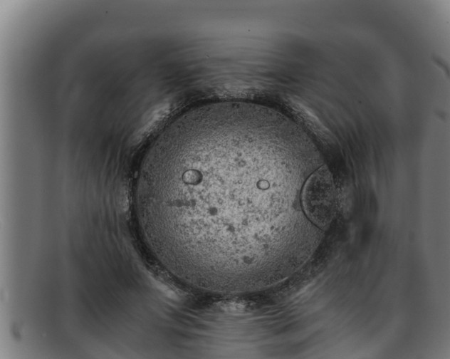 X0000091860687200709121330