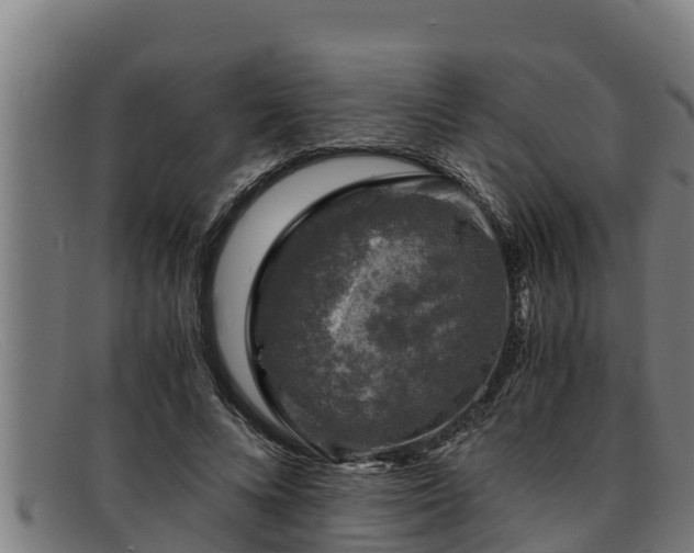 X0000091860688200709121330