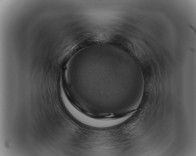 X0000091860689200709121330