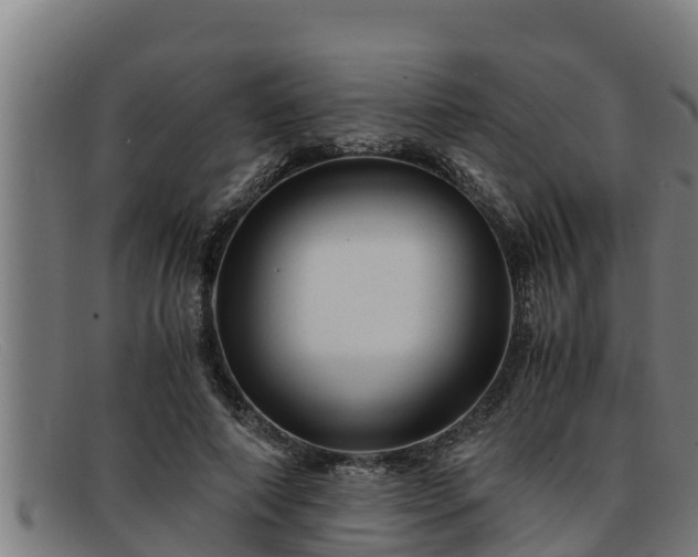 X0000091860690200709121330