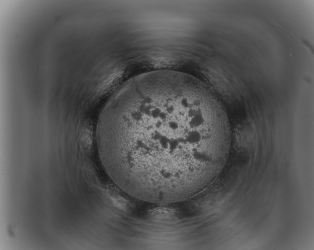 X0000091860691200709121330