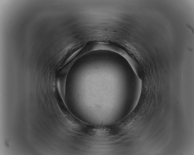 X0000091860693200709121330