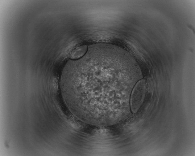 X0000091860695200709121330