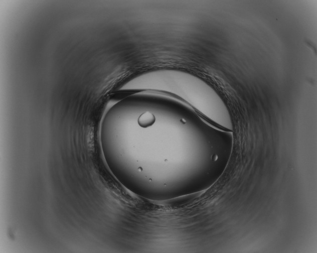 X0000091860696200709121330