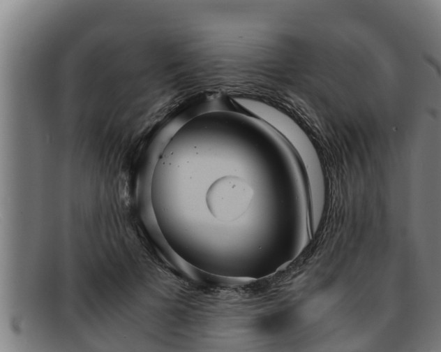 X0000091860697200709121330