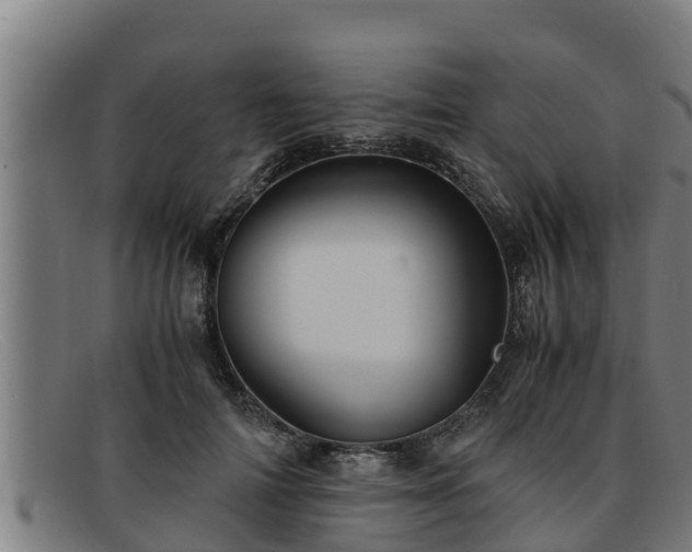 X0000091860698200709121330