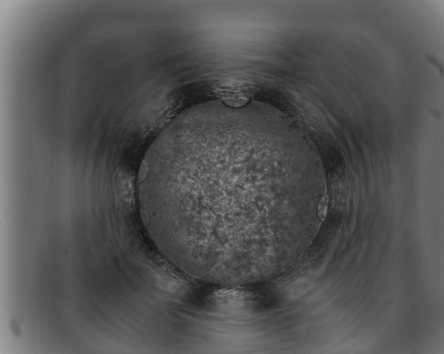 X0000091860699200709121330