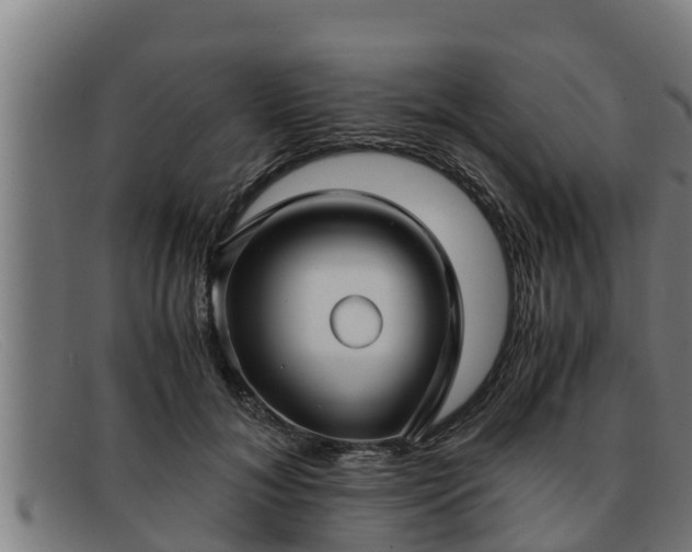 X0000091860700200709121330