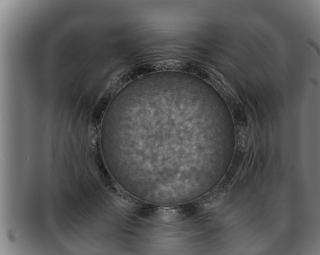 X0000091860701200709121330