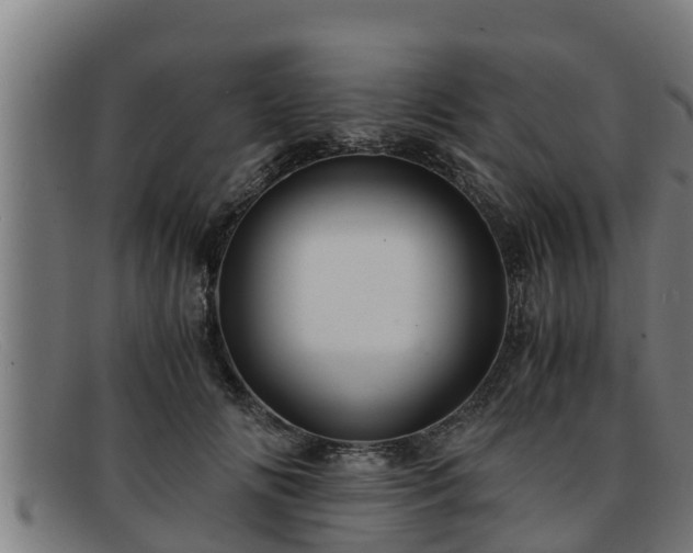 X0000091860702200709121330