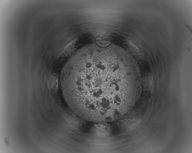 X0000091860703200709121330